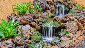 Une petite cascade entourée de rochers et de plantes vertes.