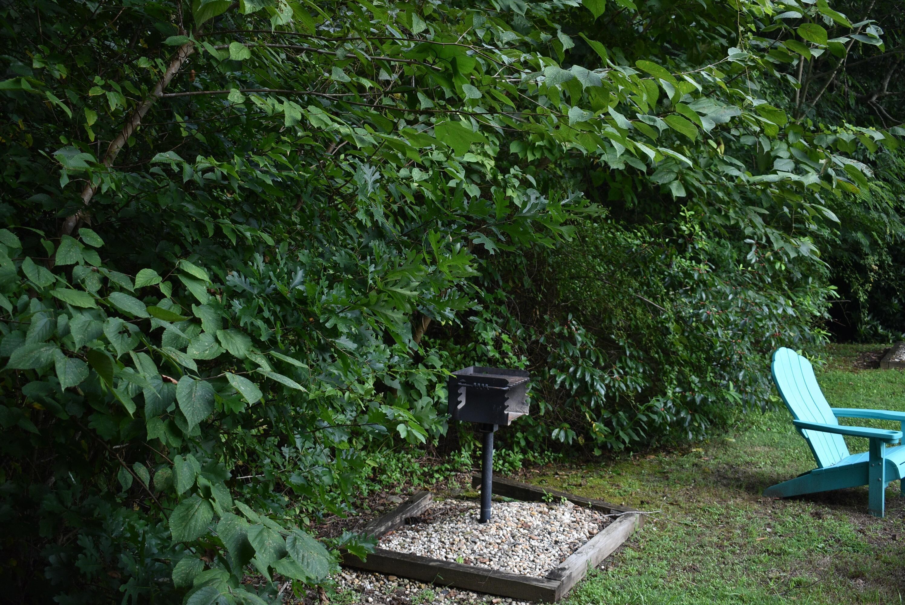 Un jardín con un comedero para pájaros y una silla Adirondack azul.