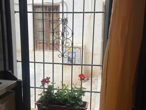Ein Fenster mit einem Metallgitter, ein Blumentopf mit Blumen und ein Poster an der Wand.