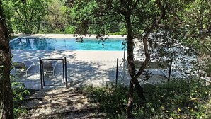 Ein Schwimmbecken, umgeben von Bäumen, mit Zaun und Treppe zum Poolbereich.