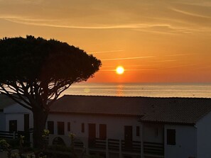Eine Küstenlandschaft mit Sonnenuntergang, einem Baum und einem Gebäude mit Ziegeldach.