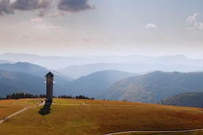A tower structure on a hill with a clear path leading to it. - Forestum - Black Forest Luxury Apartments - Apartment Auerhahn with sauna (Sankt Blasien)
