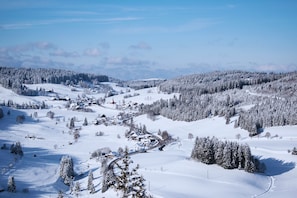 A snow-covered landscape with a small village, houses, and a church. - Forestum - Black Forest Luxury Apartments - Apartment Auerhahn with sauna (Sankt Blasien)