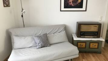 Fernseher