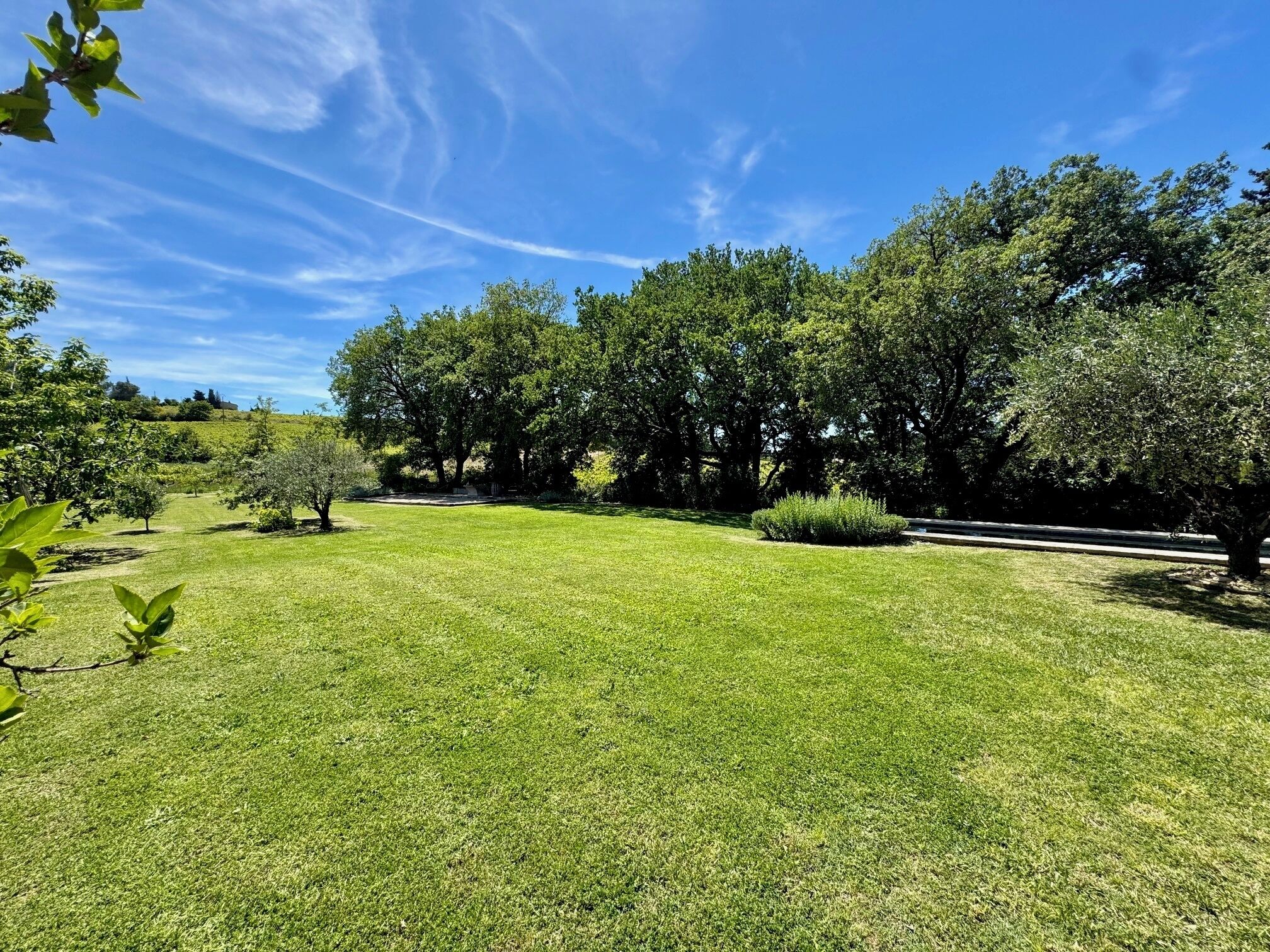 Un espace verdoyant bien entretenu, avec des arbres et un ciel dégagé.