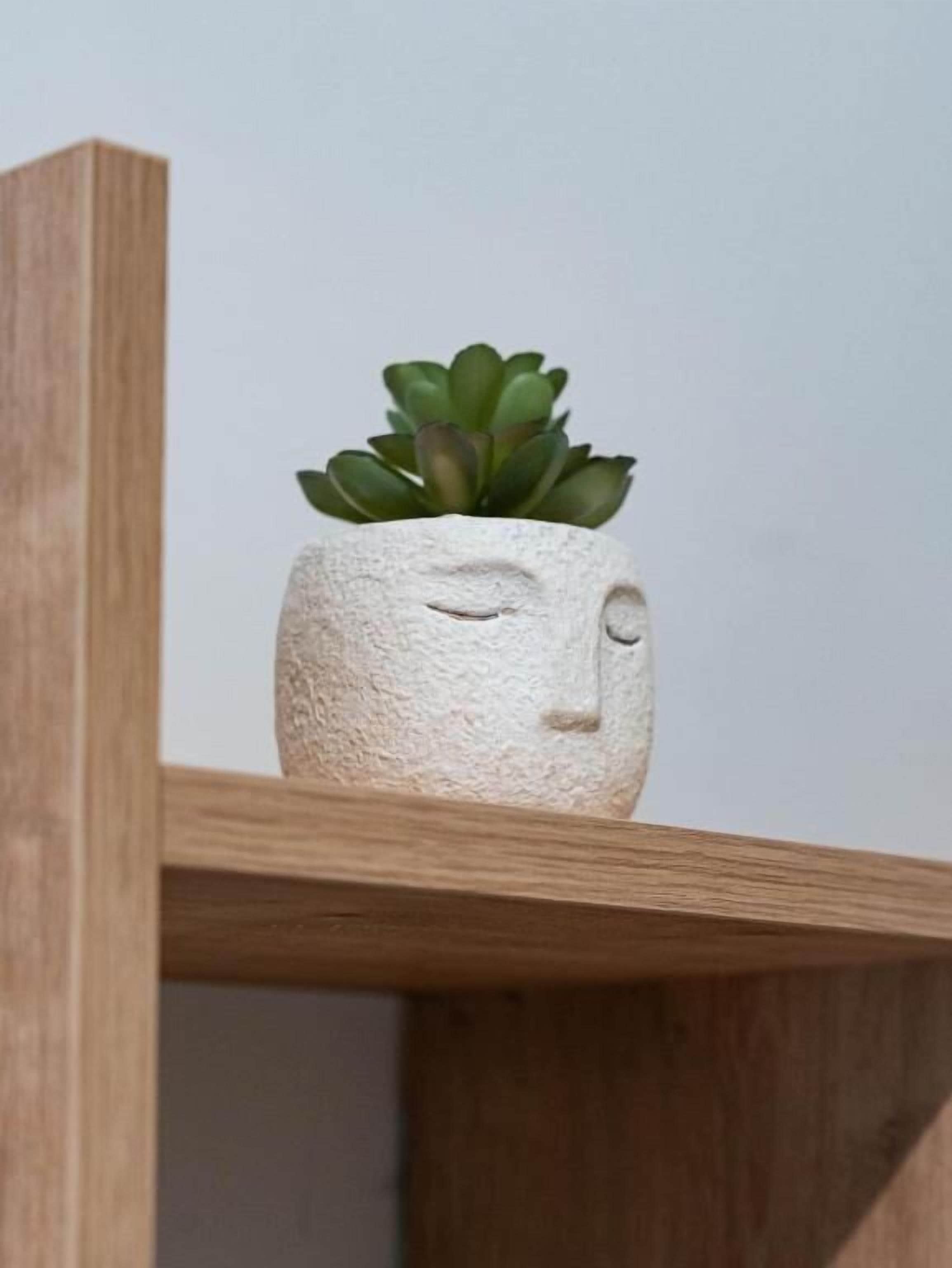 A potted plant with a face design on a wooden shelf.