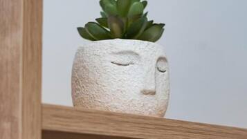A potted plant with a face design on a wooden shelf.