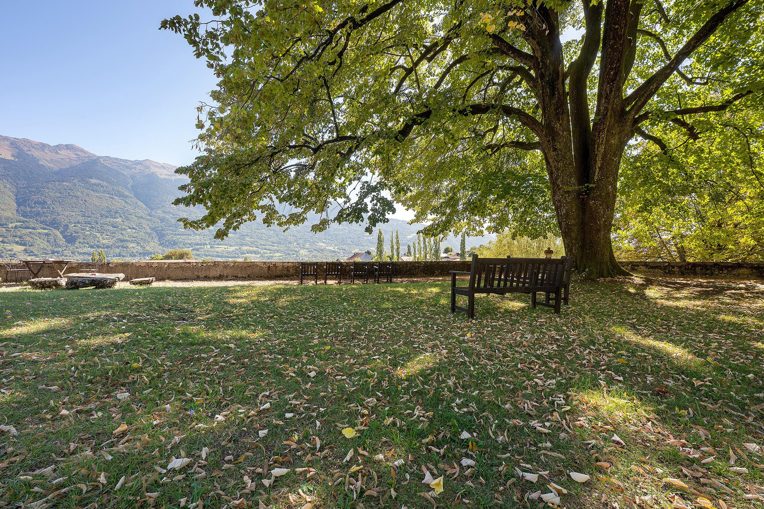 Een park met een grote boom, een bankje en een picknicktafel.