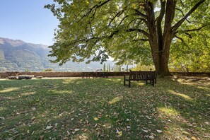 A park with a large tree, a bench, and a picnic table. - Château with Private Park – Gîte du Tilleul – Exceptional Setting (Tournon)