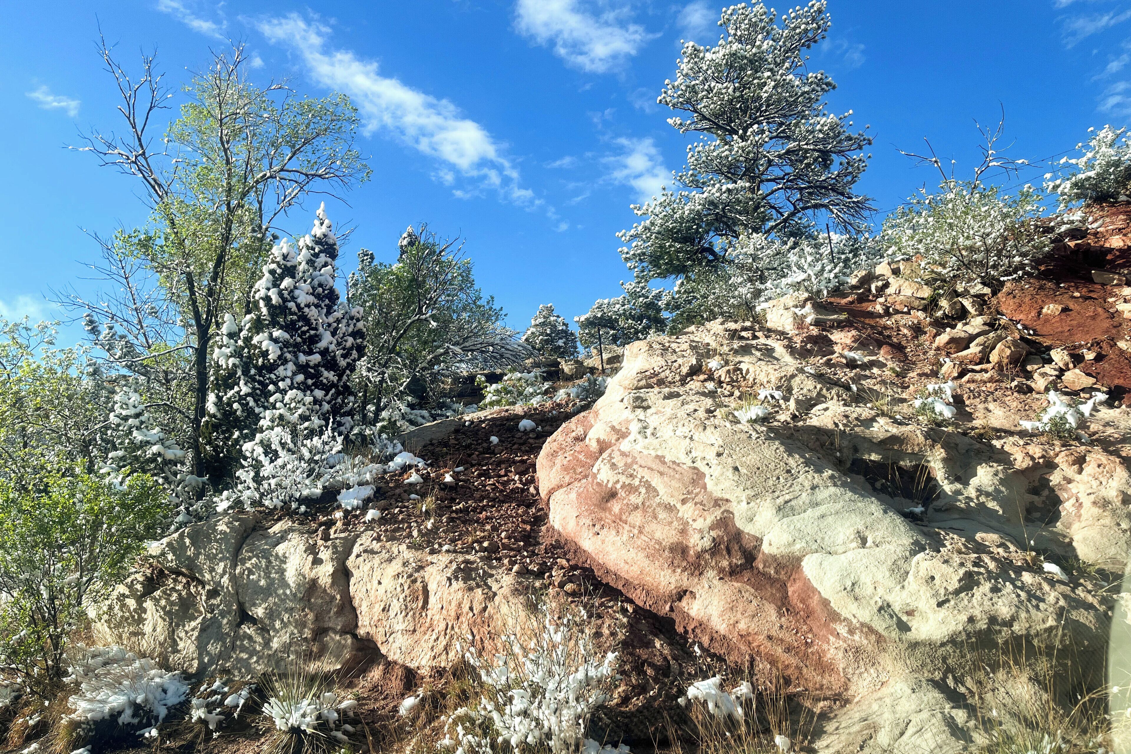 A rocky landscape with snow-covered trees and a clear blue sky.