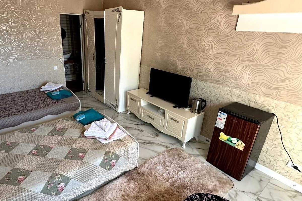A bedroom with two beds, a television, a wardrobe, and a small kitchenette.