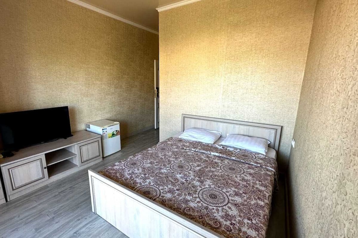 A bedroom with a bed, a television, a small cabinet, and a refrigerator.