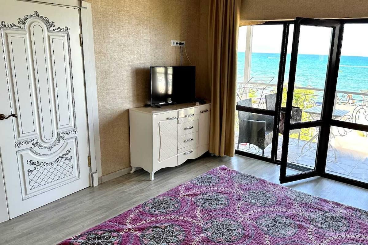A room with a large window, a television on a cabinet, and a patterned rug.