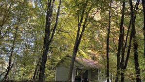 A cabin surrounded by trees with a wooden deck and a stone wall. - 4 Person Holiday Home in Horby (Horby)