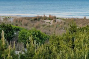 A coastal landscape with dunes, vegetation, and a beach. - Town of Dewey Beach- Inviting newly renovated townhouse with ocean views (Dewey Beach)