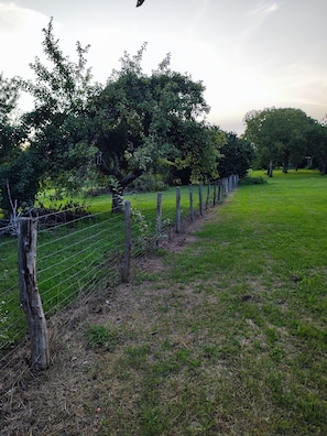 A fenced outdoor area with trees and grass. - Chez Sandrine Guest Rooms and Table d'Hôtes with Pool (Gray-la-Ville)