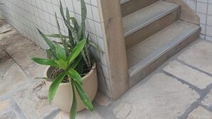 Eine Betonstufenanlage mit Metallgeländern, einer gefliesten Wand und einem Blumentopf.