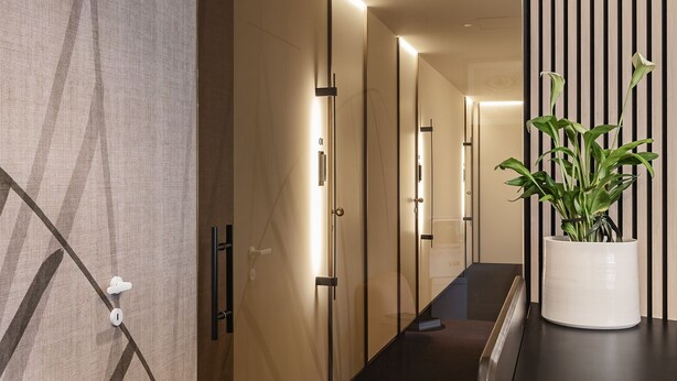 A modern hallway with a geometric patterned wall, a black floor, and a potted plant on a counter. - Octantis (Matera)