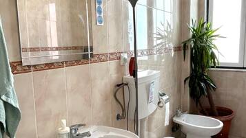 Combined shower/bathtub, hair dryer, towels, soap