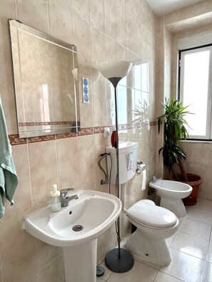 Combined shower/bathtub, hair dryer, towels, soap - Palmira (LISBOA)