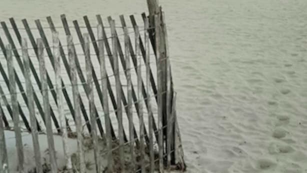 Una playa con un cerco de madera y una orilla arenosa.