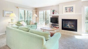 Un salon avec un canapé, un téléviseur, une cheminée et une fenêtre.