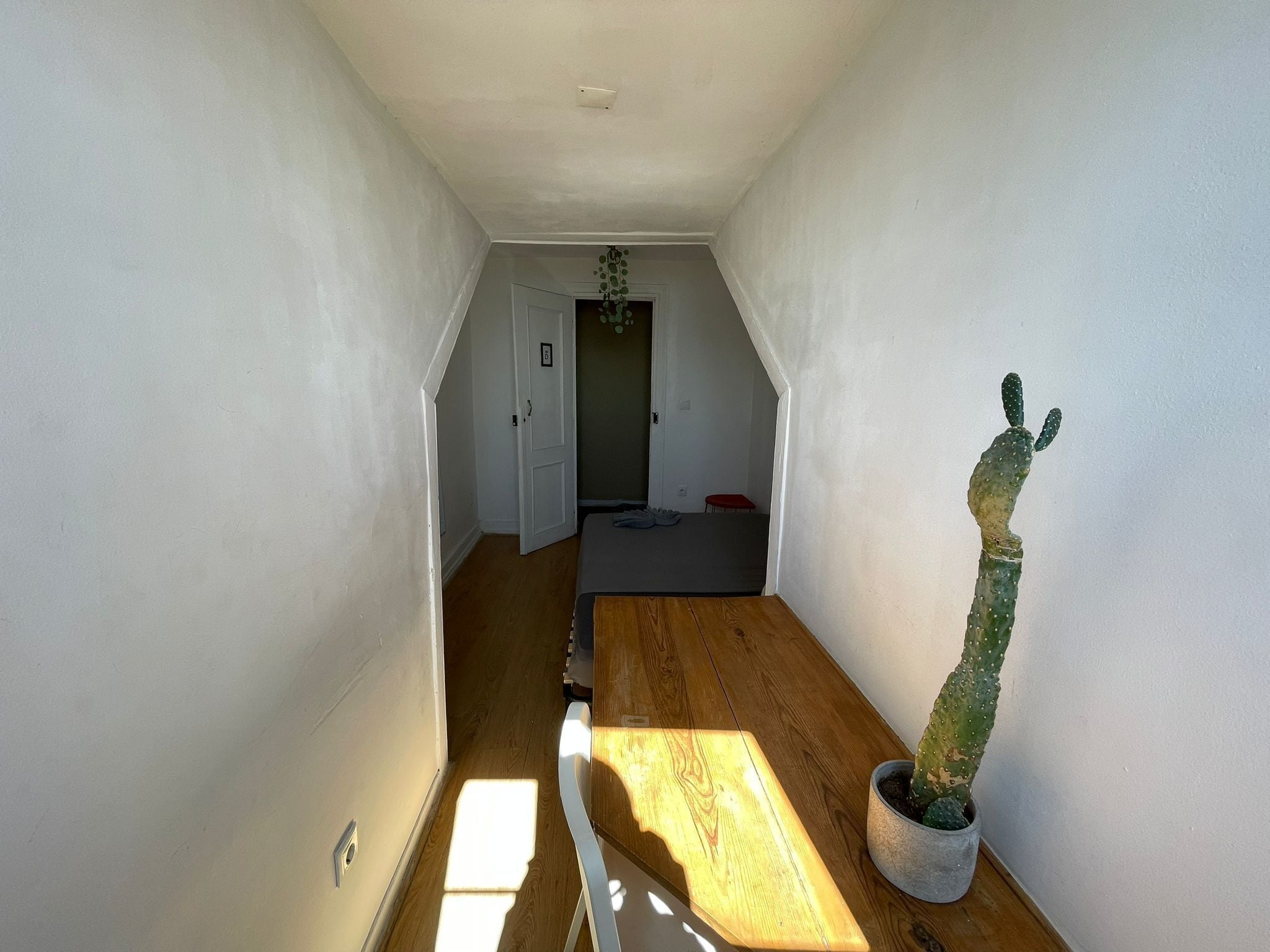 A narrow hallway with a wooden floor, a cactus plant, and a door at the end.