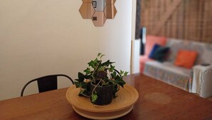 A dining table with a potted plant, a hexagonal wall decoration, and a blurred background with a couch and pillows. - Santos (Lisbon)