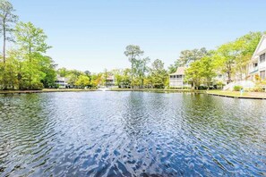 Property grounds - Sea Colony Tennis 2nd floor condo w/ gym, shared sauna, and free WiFi (Bethany Beach)