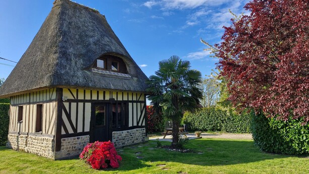 Ein traditionelles Haus mit Strohdach, Steinunterbau, einem kleinen Fenster und einem Garten mit einer Palme und roten Blüten.