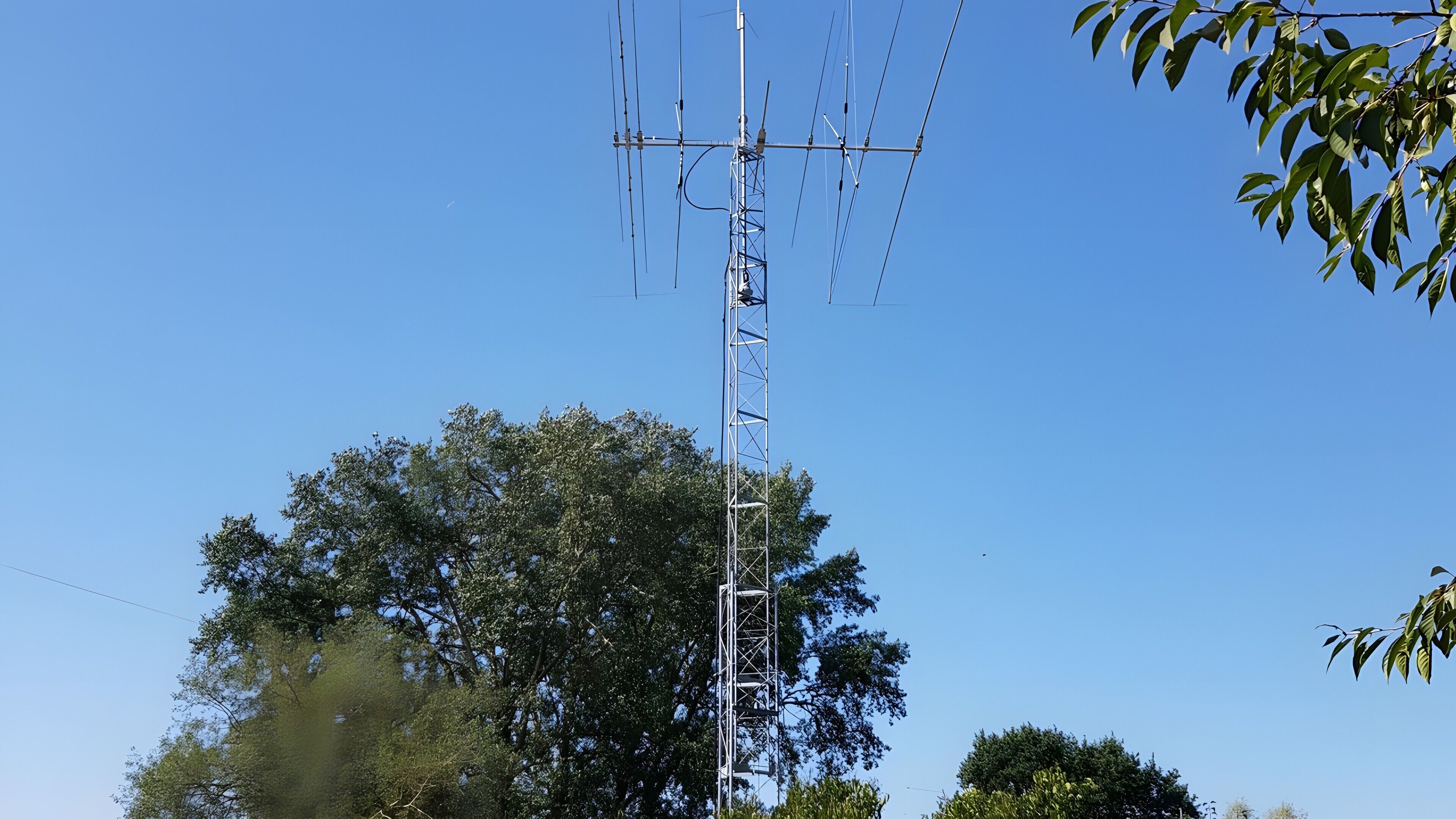 Une grande structure d’antenne métallique, dotée de nombreux câbles, entourée d’arbres et surplombant un ciel bleu dégagé.