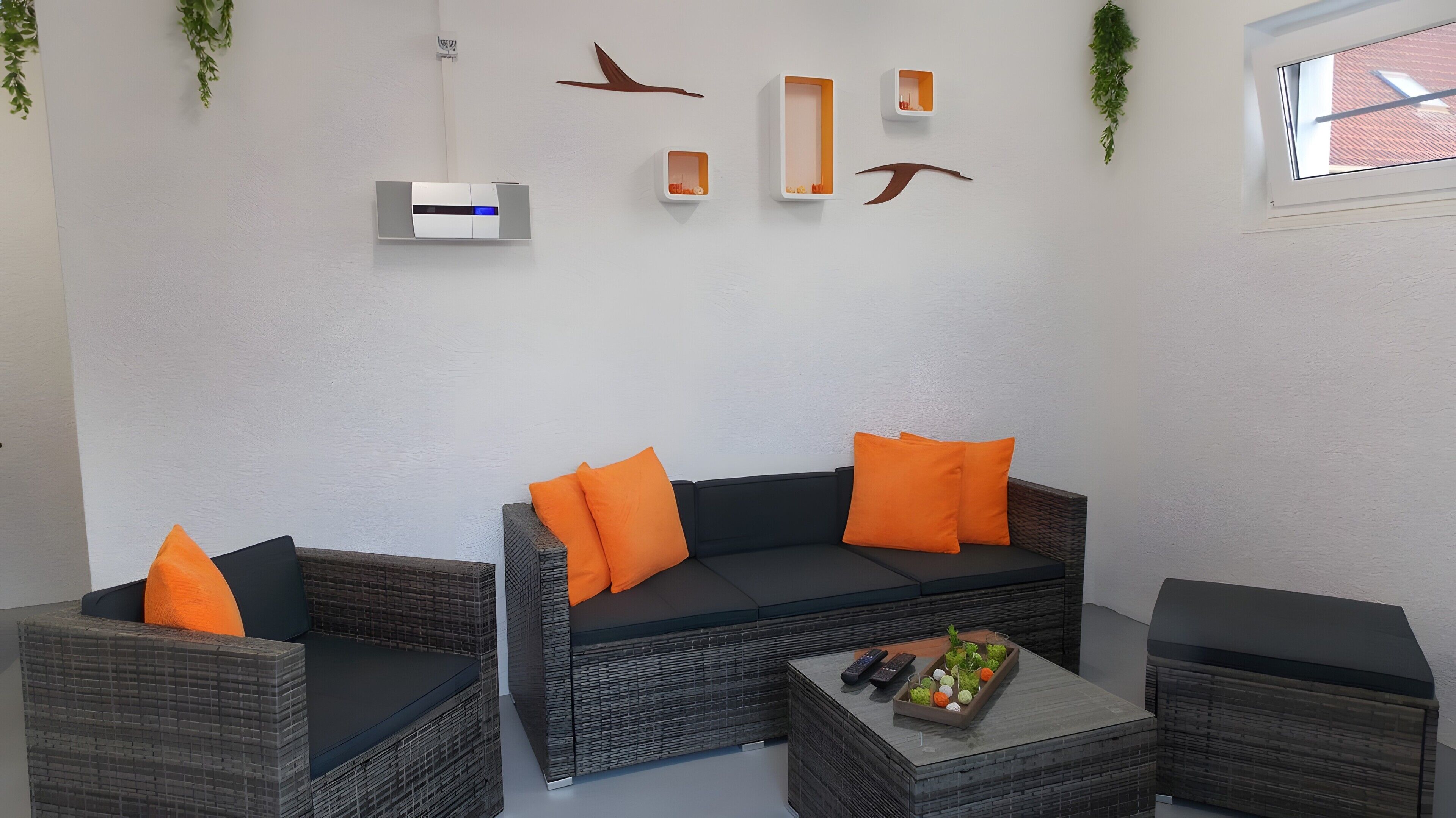TV, lettore DVD, tavolo da ping pong