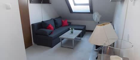 TV, DVD player, ping pong