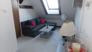 TV, DVD player, table tennis