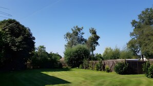 A backyard with a lawn, trees, and wooden fences.