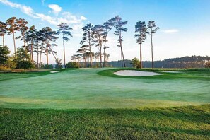 Golf - Bayside Resort townhouse w/ gym, private gas grill, pool, and free WiFi (Selbyville)