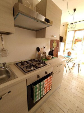 Une cuisine moderne équipée d’une cuisinière à gaz, d’un évier en acier inoxydable et de meubles en bois.