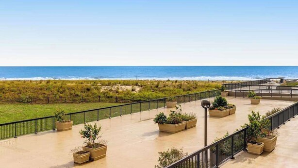 Una terraza en la azotea con vista a la playa, plantas en macetas y una barandilla.