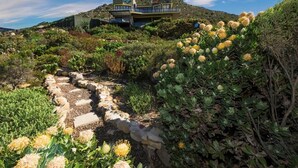 A hillside property with a modern house, a garden with various plants, and a stone pathway. - The Butterfly Villa (Pringle Bay)