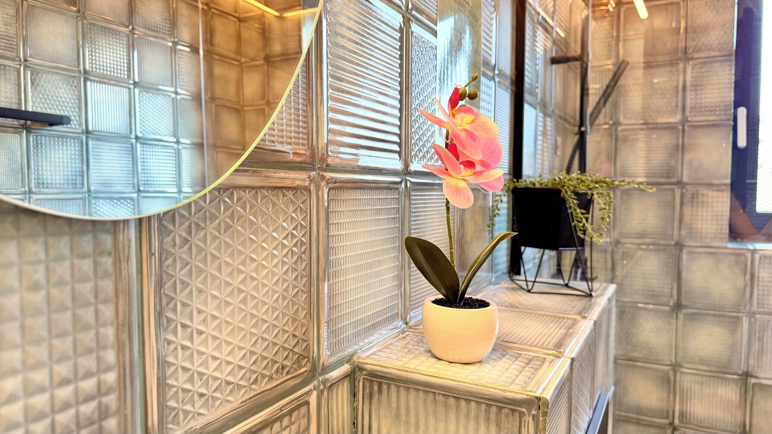 Une orchidée en pot, posée sur le rebord d’une fenêtre, avec un mur en verre texturé et une chaise noire en arrière-plan.
