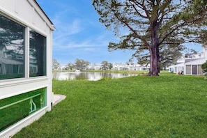 A residential area with a large tree, a body of water, and houses in the background.