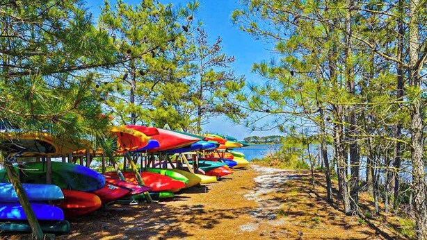 A beach with rows of colorful kayaks and canoes, a clear sky, and a calm body of water in the background.