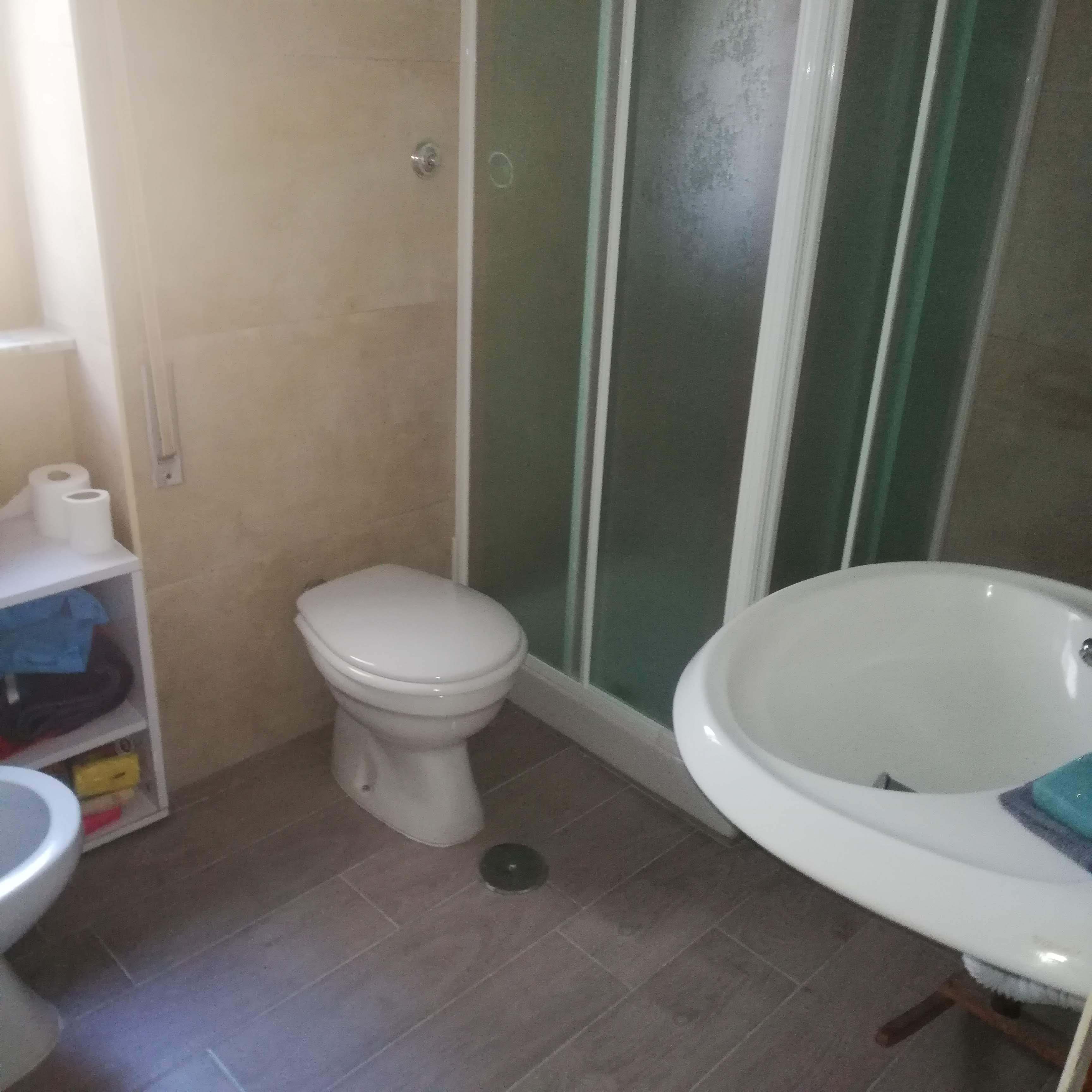 Secador de pelo, bidet, jabón