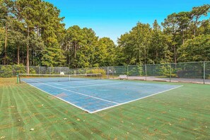 Sports court - Clearwater Home, perfectly located w/Shared Pool, Private Washer/Dryer, & WiFi (Frankford)
