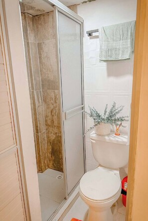 Serviettes fournies, savon, papier de toilette
