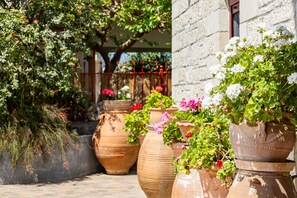 Property grounds - Crete Charming Countryside Retreat, Private Garden (Alikampos)