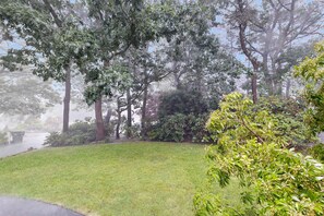 Een begroeiing met bomen en een heldere lucht.