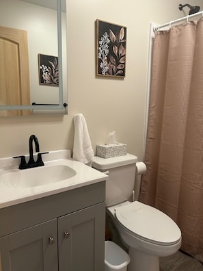 Shower, hair dryer, towels, toilet paper