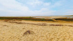 Una playa arenosa con dunas y vegetación.