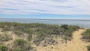 En strand med sand och gles vegetation.